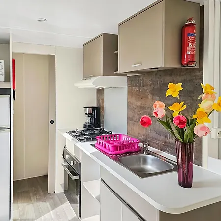 Loc Younes キャンプ場 *