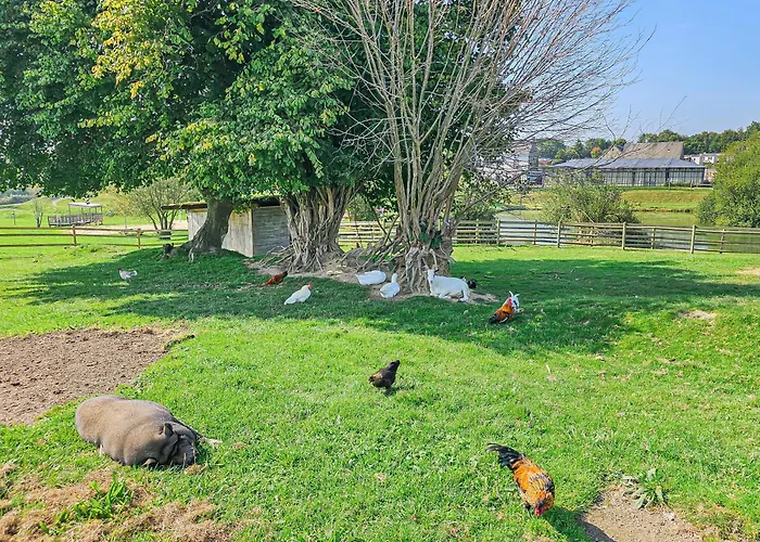 Loc Younes Camping *