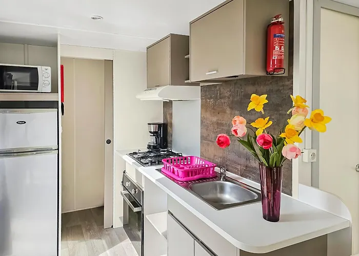 Loc Younes Camping *